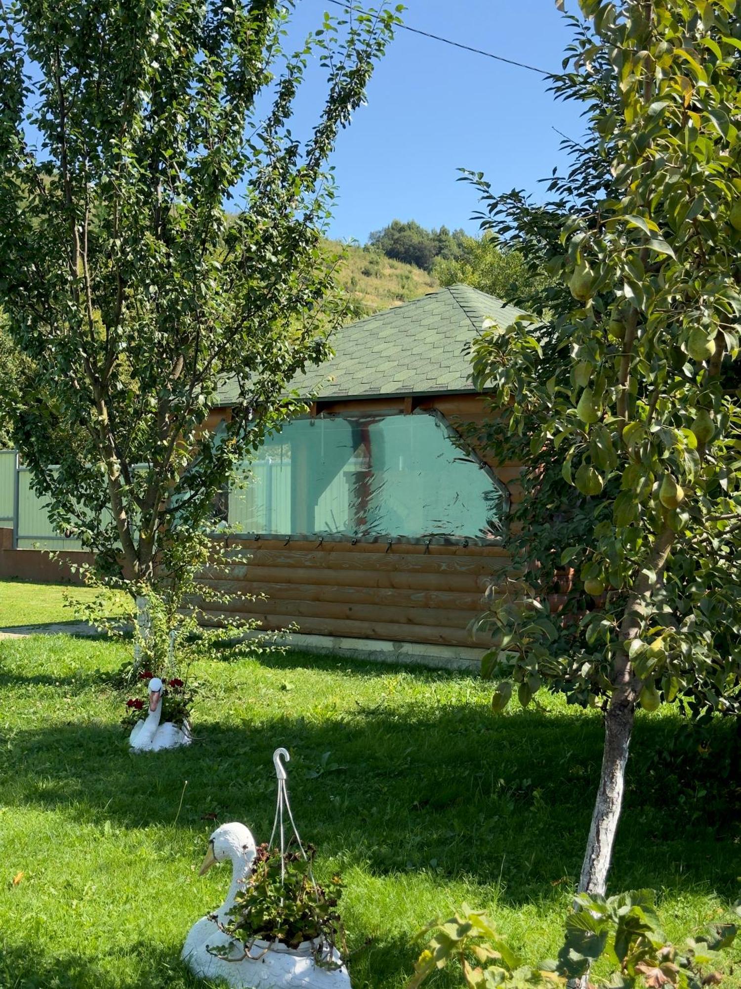 Під Боржавою Volovets Exteriör bild